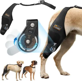 CHAMIN/RISURRY Adjustable Dog Knee Brace with Extra Collar, Support for Torn Acl Hind Leg, Tear Ligament, Osteoarthritis,Rear Leg Limp, Recovery After Surgery,et(Right Leg,XL)
