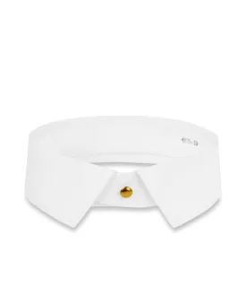 Detachable Collar
