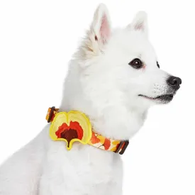 Fall Ginkgo Biloba Leaf Thanksgiving Dog Collar