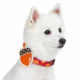 Fall Pumpkin and Acorn Thanksgiving Dog Collar
