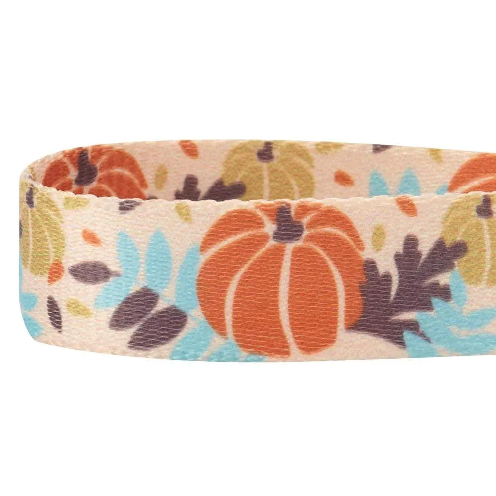 Fall Pumpkin Thanksgiving Dog Collar