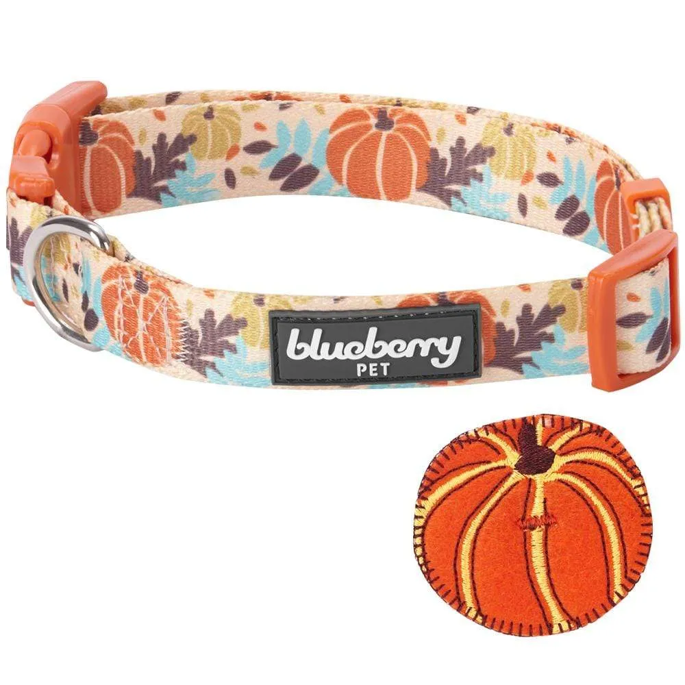Fall Pumpkin Thanksgiving Dog Collar