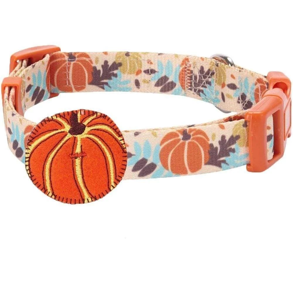 Fall Pumpkin Thanksgiving Dog Collar