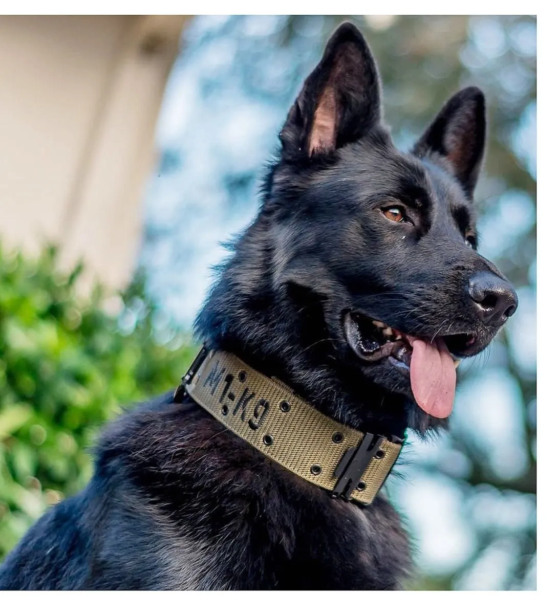 M1-K9 Tactical Collar (Gen 3)