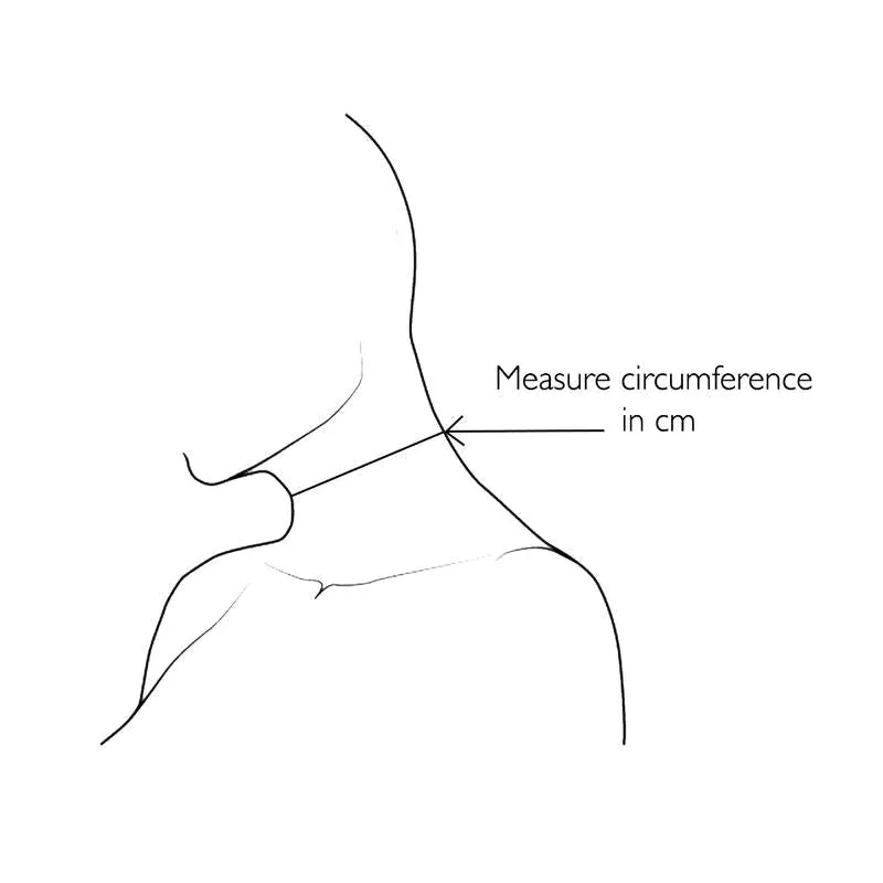 PADLOCK POSTURE COLLAR