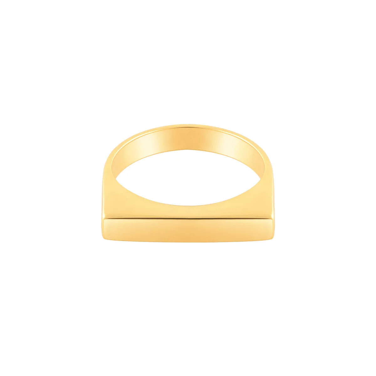 Slim Rectangular signet Ring